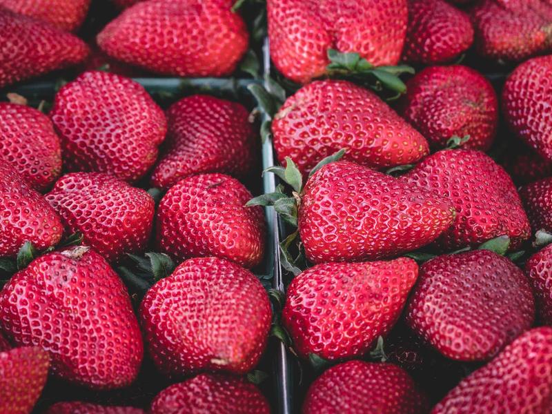 Mantecorp Pielus Forte: Guia Completo para Lábios Saudáveis